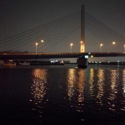 南港へち釣行 （2020/03/21 渋い南港ヘチ釣り　シーバス（37cm）ガシラ 釣果有り）