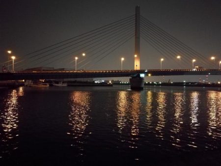 南港へち釣行 （2020/03/21 渋い南港ヘチ釣り　シーバス（37cm）ガシラ 釣果有り）