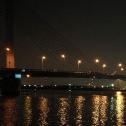 南港へち釣行 (2020/03/22 短時間の南港ヘチ釣り キビレチヌ(35.5cm)シーバス(34cm)釣果有り)