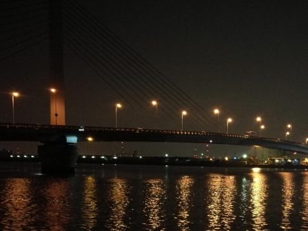 南港へち釣行 (2020/03/22 短時間の南港ヘチ釣り キビレチヌ(35.5cm)シーバス(34cm)釣果有り)