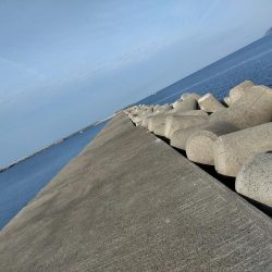 フカセが一番・・面白いです・・チヌ・・