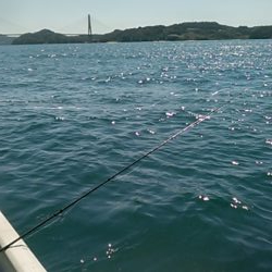 小型和船からのSLJ！鷹島南回り探索