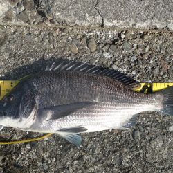 海釣り卒業記念