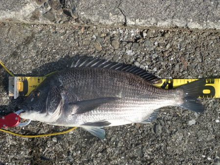 海釣り卒業記念