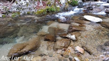 先行者多数の揖保川支流