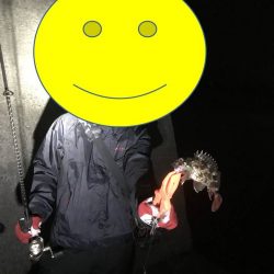 のんびりアジングと尺アジ情報