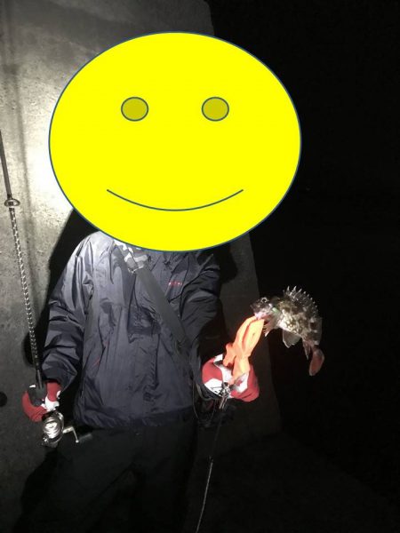 のんびりアジングと尺アジ情報