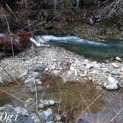 揖保川/三方川支流でポイント探し