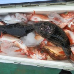 第二むつ漁丸 釣果