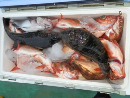 第二むつ漁丸 釣果