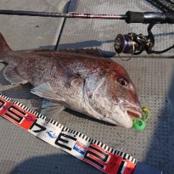 IDATEN(イダテン) 釣果