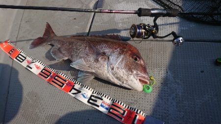 IDATEN（イダテン） 釣果