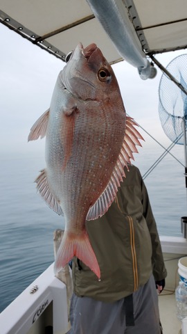 遊漁船 ニライカナイ 釣果