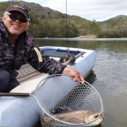 フィッシングレイクたかみや 釣果