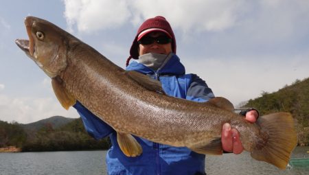 フィッシングレイクたかみや 釣果