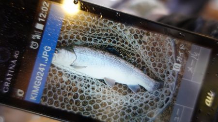 フィッシングレイクたかみや 釣果