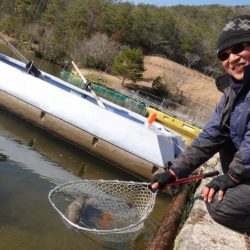 フィッシングレイクたかみや 釣果
