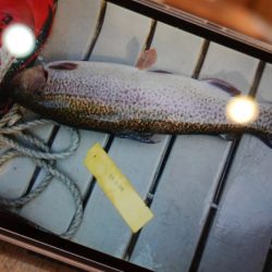 フィッシングレイクたかみや 釣果