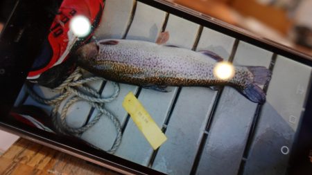 フィッシングレイクたかみや 釣果