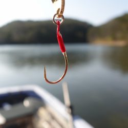 フィッシングレイクたかみや 釣果