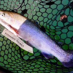 フィッシングレイクたかみや 釣果