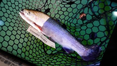 フィッシングレイクたかみや 釣果