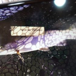 フィッシングレイクたかみや 釣果