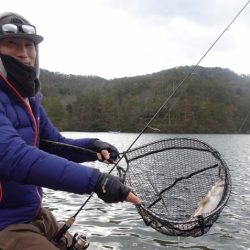 フィッシングレイクたかみや 釣果