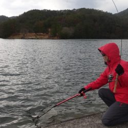 フィッシングレイクたかみや 釣果