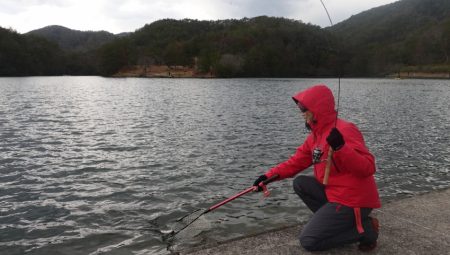 フィッシングレイクたかみや 釣果