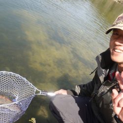 フィッシングレイクたかみや 釣果