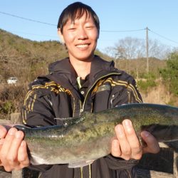 フィッシングレイクたかみや 釣果