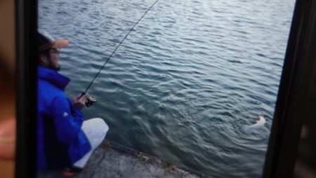 フィッシングレイクたかみや 釣果