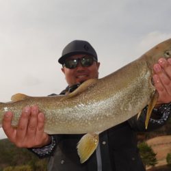 フィッシングレイクたかみや 釣果