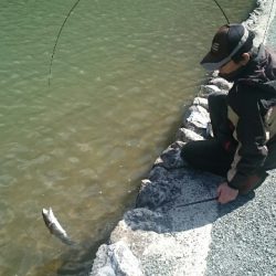 フィッシングエリア帝釈 釣果