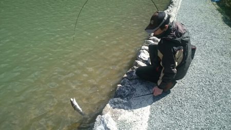 フィッシングエリア帝釈 釣果