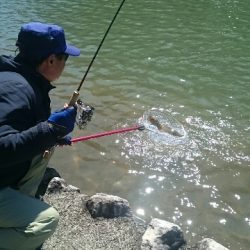 フィッシングエリア帝釈 釣果