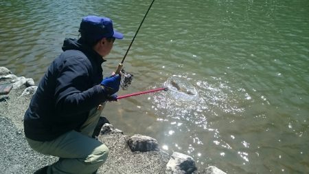 フィッシングエリア帝釈 釣果