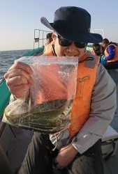 KONAYAーMARU(こなや丸) 釣果