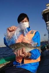 KONAYAーMARU(こなや丸) 釣果