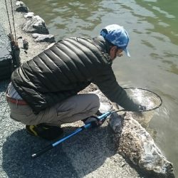 フィッシングエリア帝釈 釣果