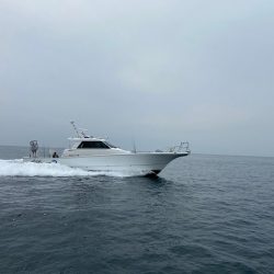 フィッシングボートACE(エース) 釣果