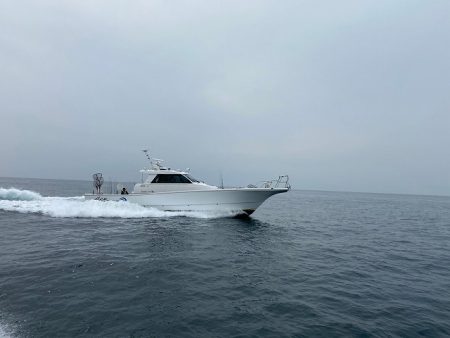 フィッシングボートACE(エース) 釣果