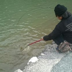 フィッシングエリア帝釈 釣果