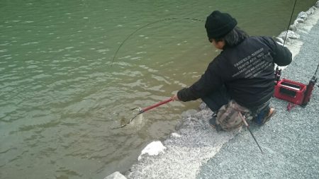 フィッシングエリア帝釈 釣果