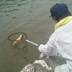 フィッシングエリア帝釈 釣果