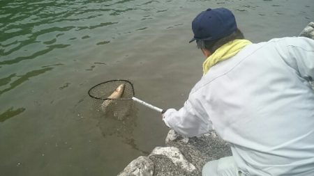 フィッシングエリア帝釈 釣果