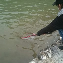 フィッシングエリア帝釈 釣果