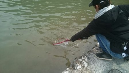 フィッシングエリア帝釈 釣果