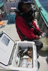 KONAYAーMARU(こなや丸) 釣果